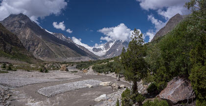 Rupal valley