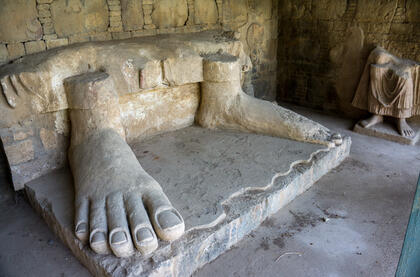 Buddha's Feet