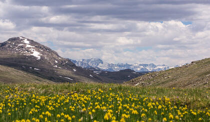 Onions and mountains