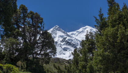 Rakaposhi
