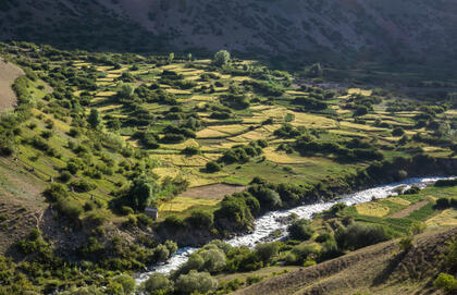 Thalla Valley