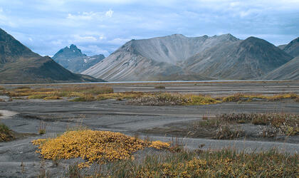 Ichinsky outwash plain