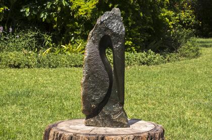 Colin Maduwapera - Bird