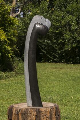 Dominic Benhura - "Star gazer"