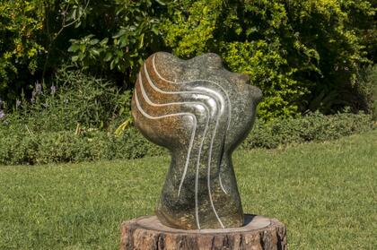 Tendai Mukombernwa - Head