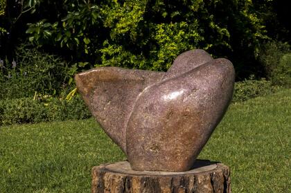 Claude Nyanhongo - Bird