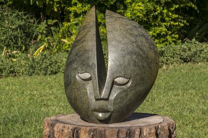 Alfred Chihota - head