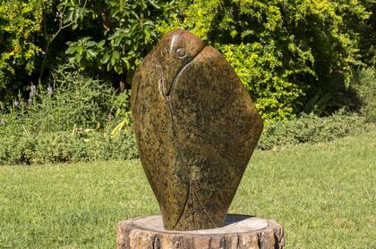 Henry Munyaradzi - "Preening bird"