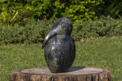 Fungayi Mwarowa - Bird