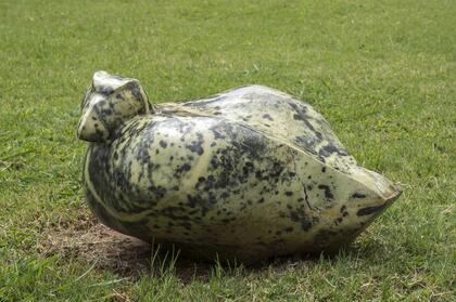Euwit Nyanhongo - Sitting bird
