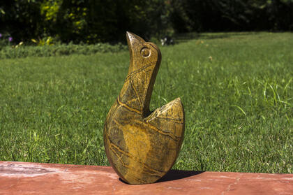 Fungayi Mwarowa - Bird