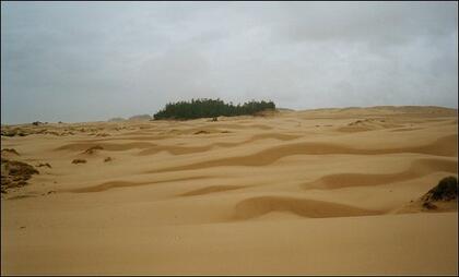 Dunes