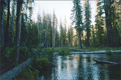 Lake