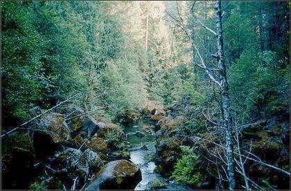 Umpqua River