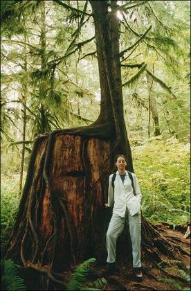 Treestump